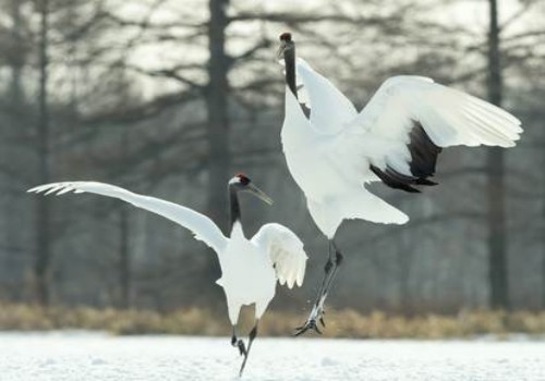 成都出轨调查：宝宝生病离婚怎么判